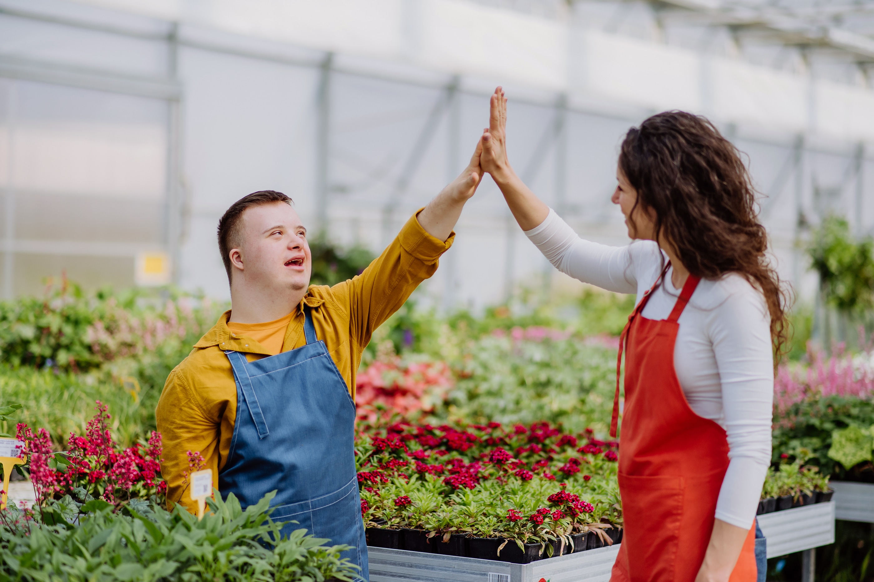 A Unique Approach to Employment Services for Adults With IDD